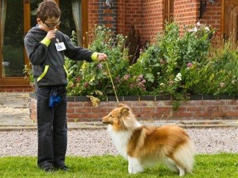 Young Handler of the future (2)